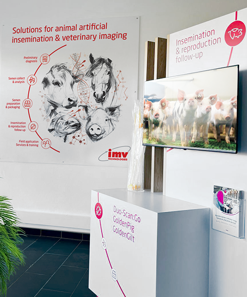 accueil-imv-show-room