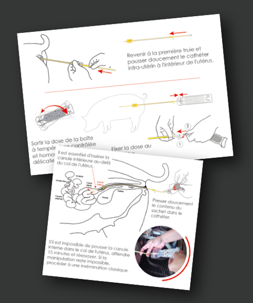 notice-insemination-illustrations